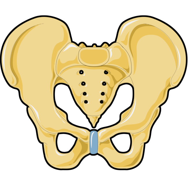 Kegel Counter Logo
